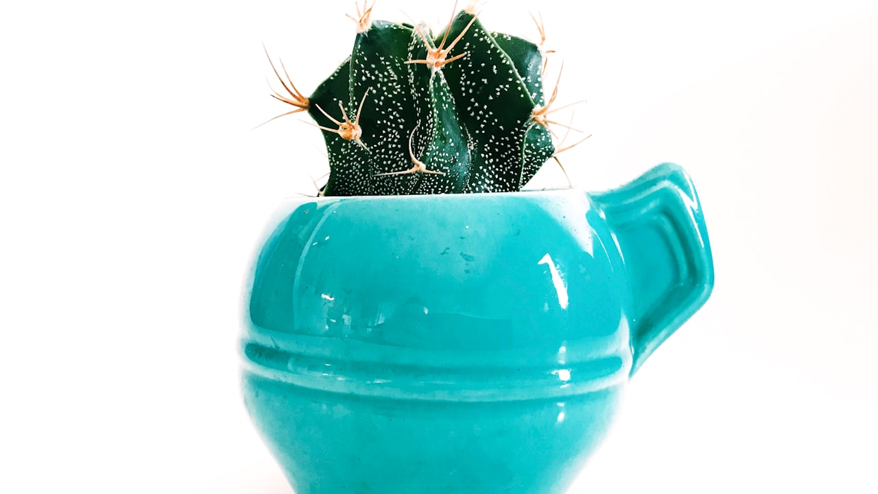 All about Custom Woven Labels